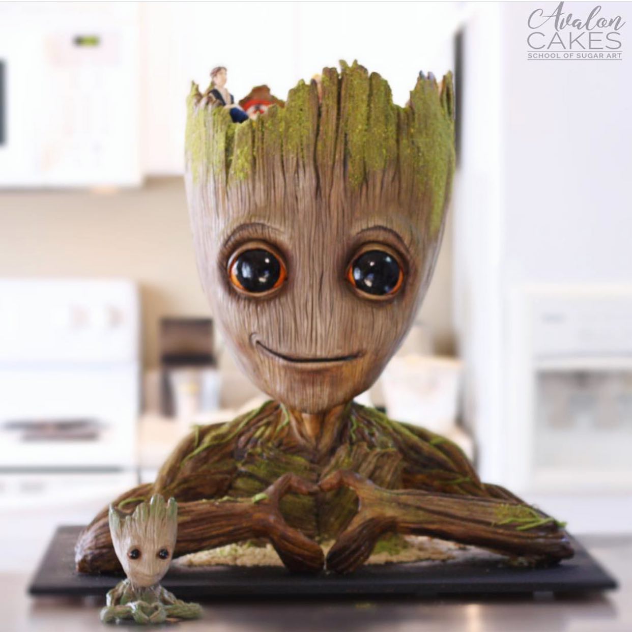 Avalon Cakes School. Top 10 Best Online Cake Decorating Classes - 35