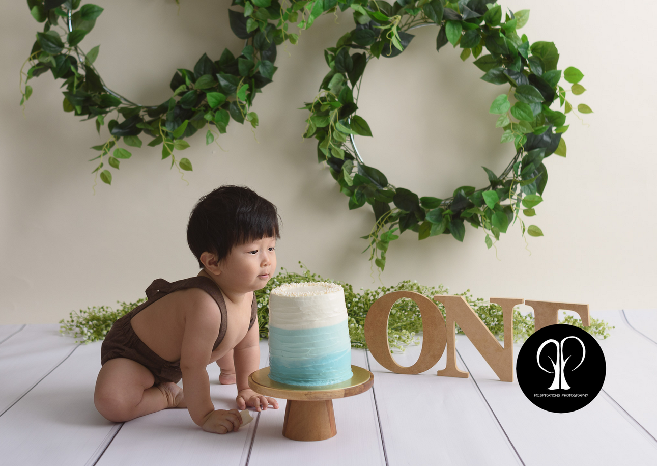 Picspirations Photography 2 Top 10 Best Cake Smash Photographers in the World - 7