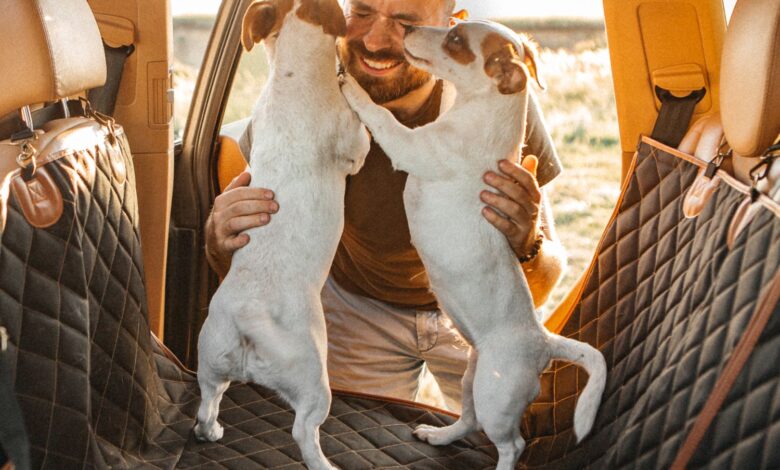 Install a Car Seat Hammock