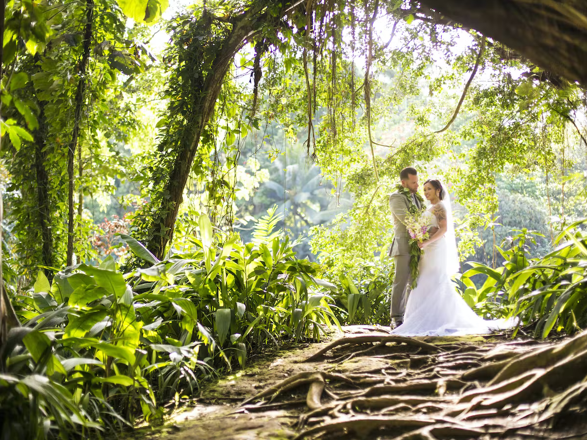 Top 10 Wedding Locations in Hawaii 5 Haiku Gardens Top 10 Wedding Locations in Hawaii - 3