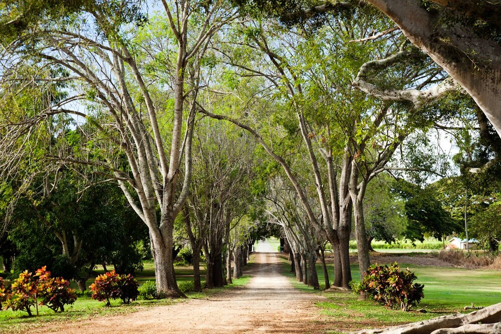 Top 10 Wedding Locations in Hawaii 8 The Dillingham Ranch Top 10 Wedding Locations in Hawaii - 6