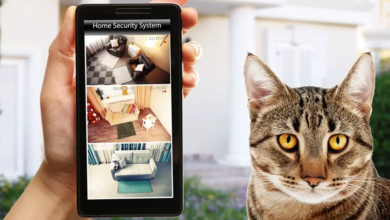 Pet Security Camera