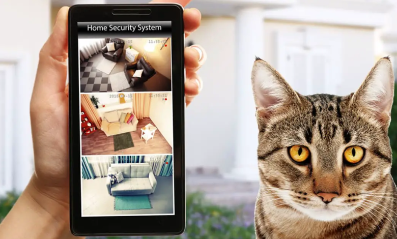 How to Use a Pet Camera to Treat Your Dog's Separation Anxiety 1 Pet Security Camera