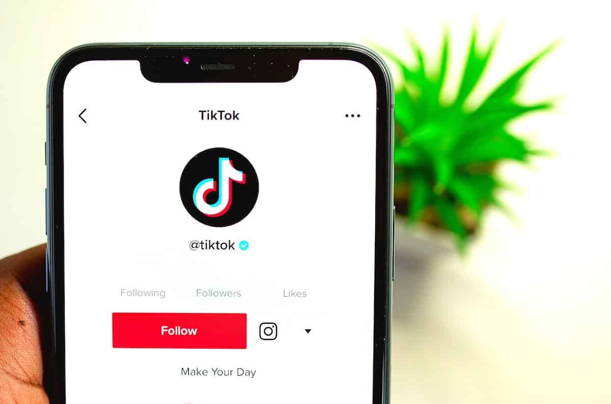 10 TikTok Trends and Tips to Try Out This Year to Build a High-Performing TikTok Channel with High Following 6 TikTok 2 10 TikTok Trends and Tips to Try Out This Year to Build a High-Performing TikTok Channel with High Following - 1