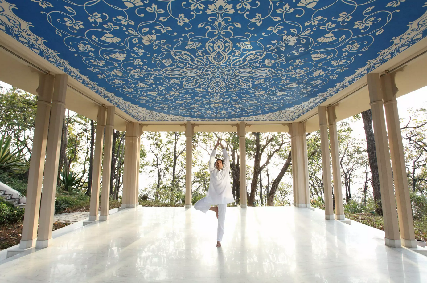 Top 15 Most Luxurious Spa Resorts on the Earth 26 Ananda in the Himalayas India Top 15 Most Luxurious Spa Resorts on the Earth - 26