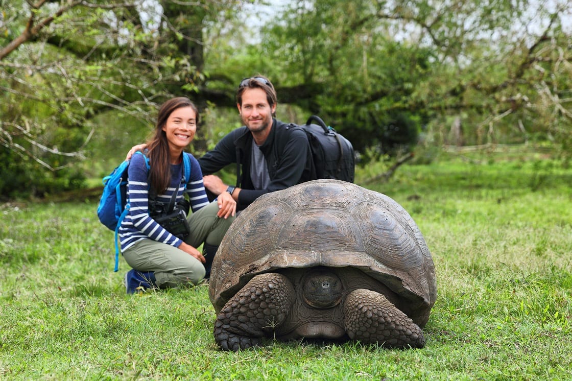 Galapagos Islands Cruise Unveiling the World's Most Luxurious Honeymoon Destinations - 8