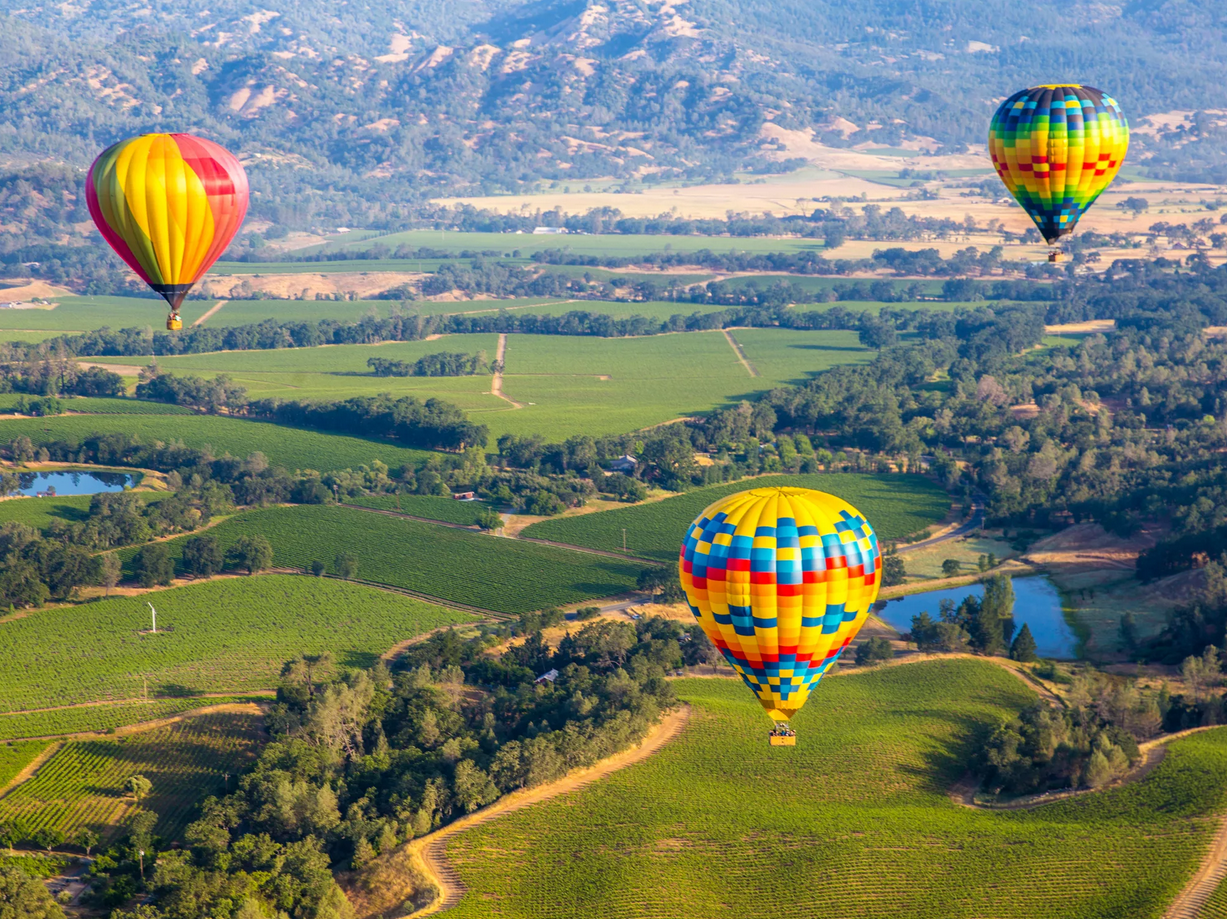 Napa Valley Wine Country An Ultimate Guide to The Best Honeymoon Destinations - 10