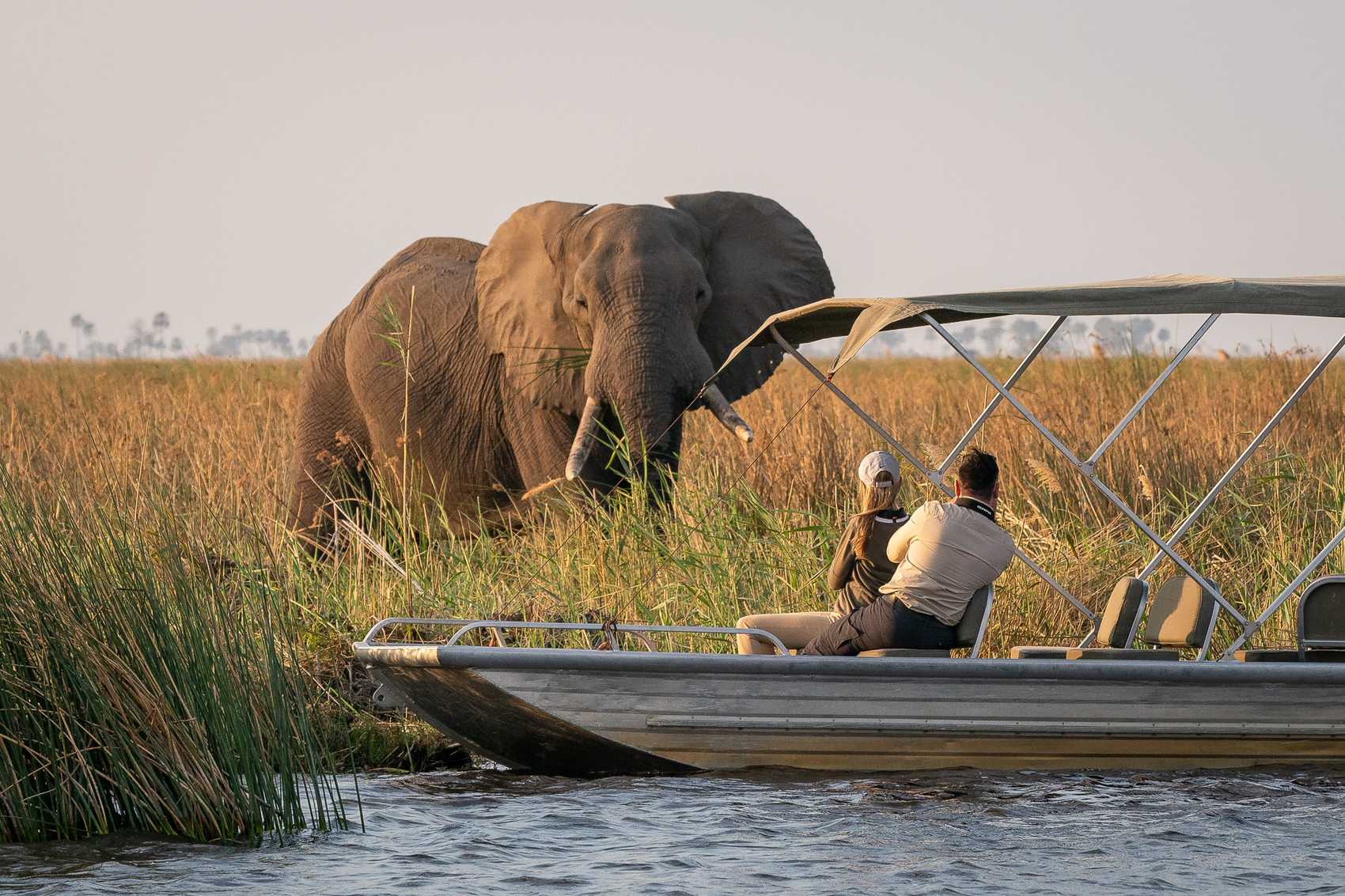 Okavango Delta Botswana Unveiling the World's Most Luxurious Honeymoon Destinations - 4