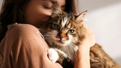woman holding a cat