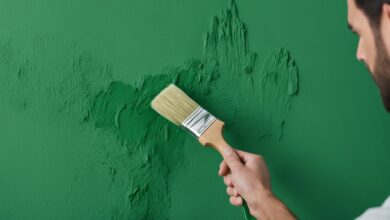 Best Eco-Friendly Paint Brands for Healthy Living 15 Eco-Friendly Paint Brands