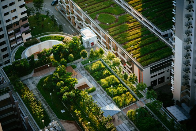 word image 148631 1 Urban Gardening: Maximizing Your Space in the City - 1 Urban Gardening