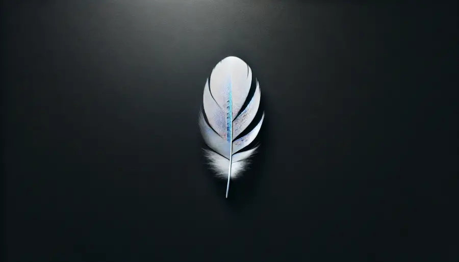 Crafting Minimalism: Tips for Making Stylish Photos 3 minimalist photo of a single white feather centered on a smooth black surface, with soft lighting highlighting its delicate texture.