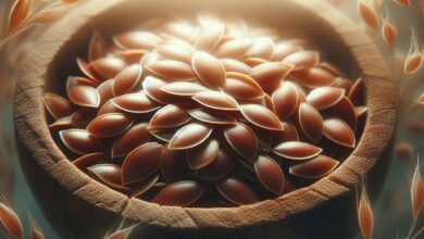 Flaxseed Top 7 Flaxseed Benefits: How to use Them for Better Health - 19 Best Selling Books