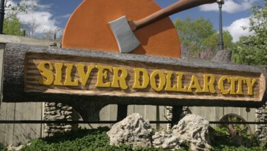 Silver Dollar Cityy "Discover Silver Dollar City: Branson's Top Attraction for Holiday Fun" - 65 Best Selling Books