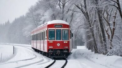 travel in winter Top 10 Things You Need to Travel in Winter | Travel Guide - 78
