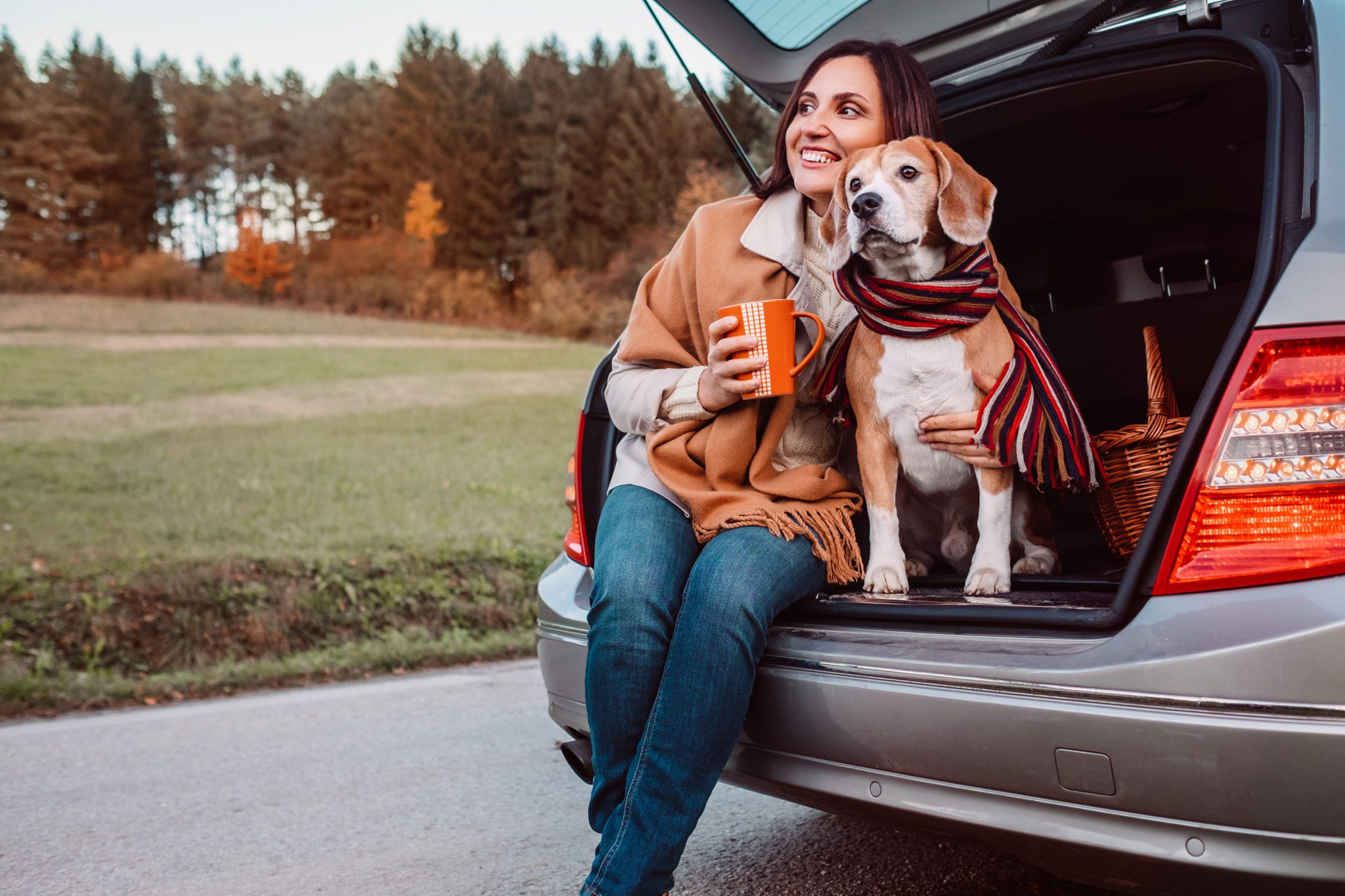 Essential Tips: How to Take Care of Your Pet 6 Traveling and Moving with Pets Essential Tips: How to Take Care of Your Pet - 5 how to take care of your pet,pet care tips,pet grooming,pet health,pet nutrition,pet training,pet supplies,pet behavior,pet safety,pet insurance,pet grooming tips,pet nutrition guide,pet health advice,pet training techniques,pet behavior management,pet safety precautions,pet supplies and accessories,pet-friendly home tips,pet emergency preparedness,pet adoption,pet accessories,pet exercise,pet-friendly homes,pet health care advice,pet behavioral issues,pet safety measures,pet exercise routines,pet-friendly home environments,pet adoption considerations,pet health care,pet-friendly travel,pet veterinary care,pet-friendly home,responsible pet ownership,pet behavior training,pet safety tips,pet supplies essentials,pet-friendly home décor,pet-friendly accommodations,pet expenses,pet toys,here are 10 nlp keywords related to "how to take care of your pet",separated by commas: how to take care of your pet,pet ownership