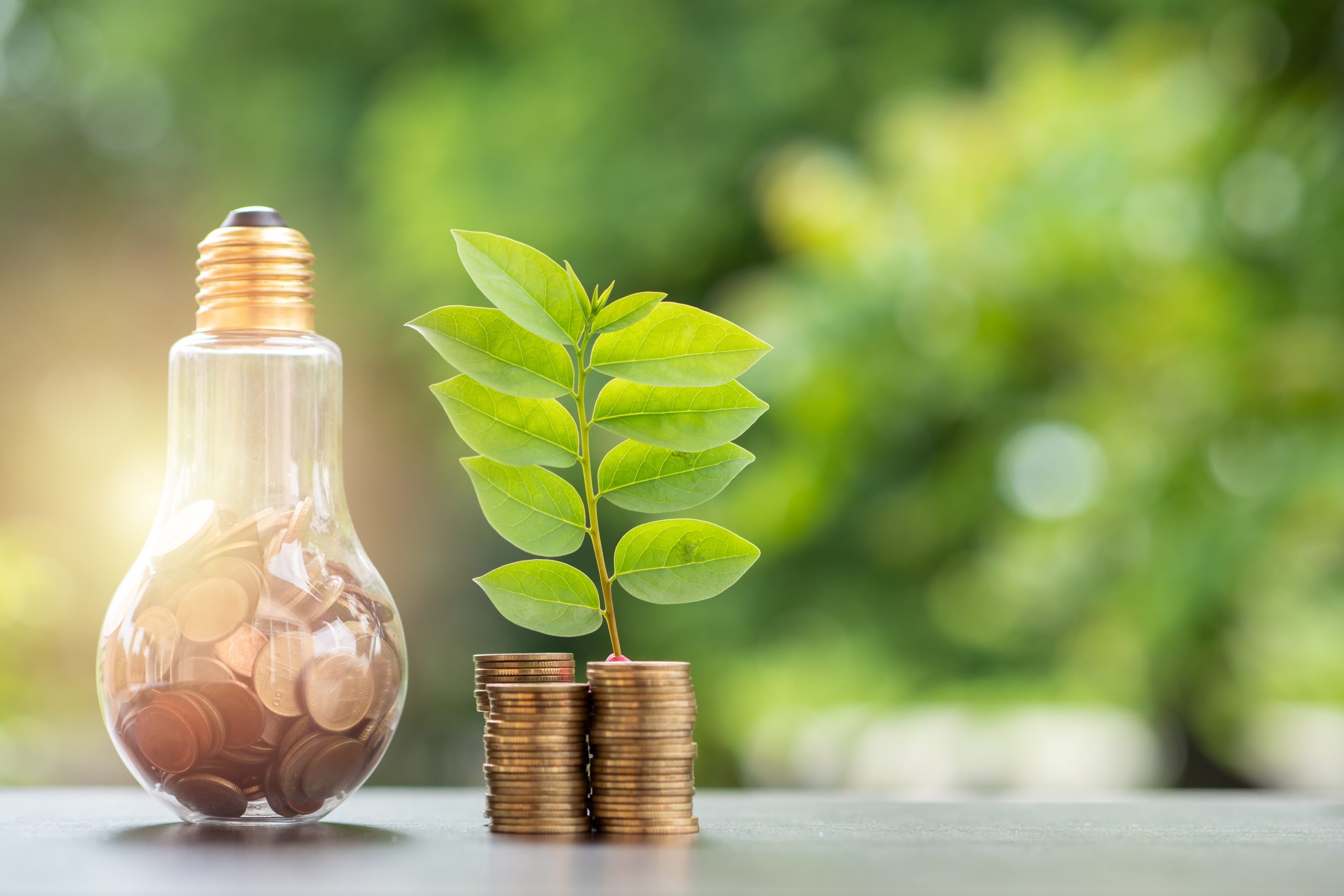 Smart Hacks to Save Energy and Lower Your Electric Bill Today 3 save money Smart Hacks to Save Energy and Lower Your Electric Bill Today - 3