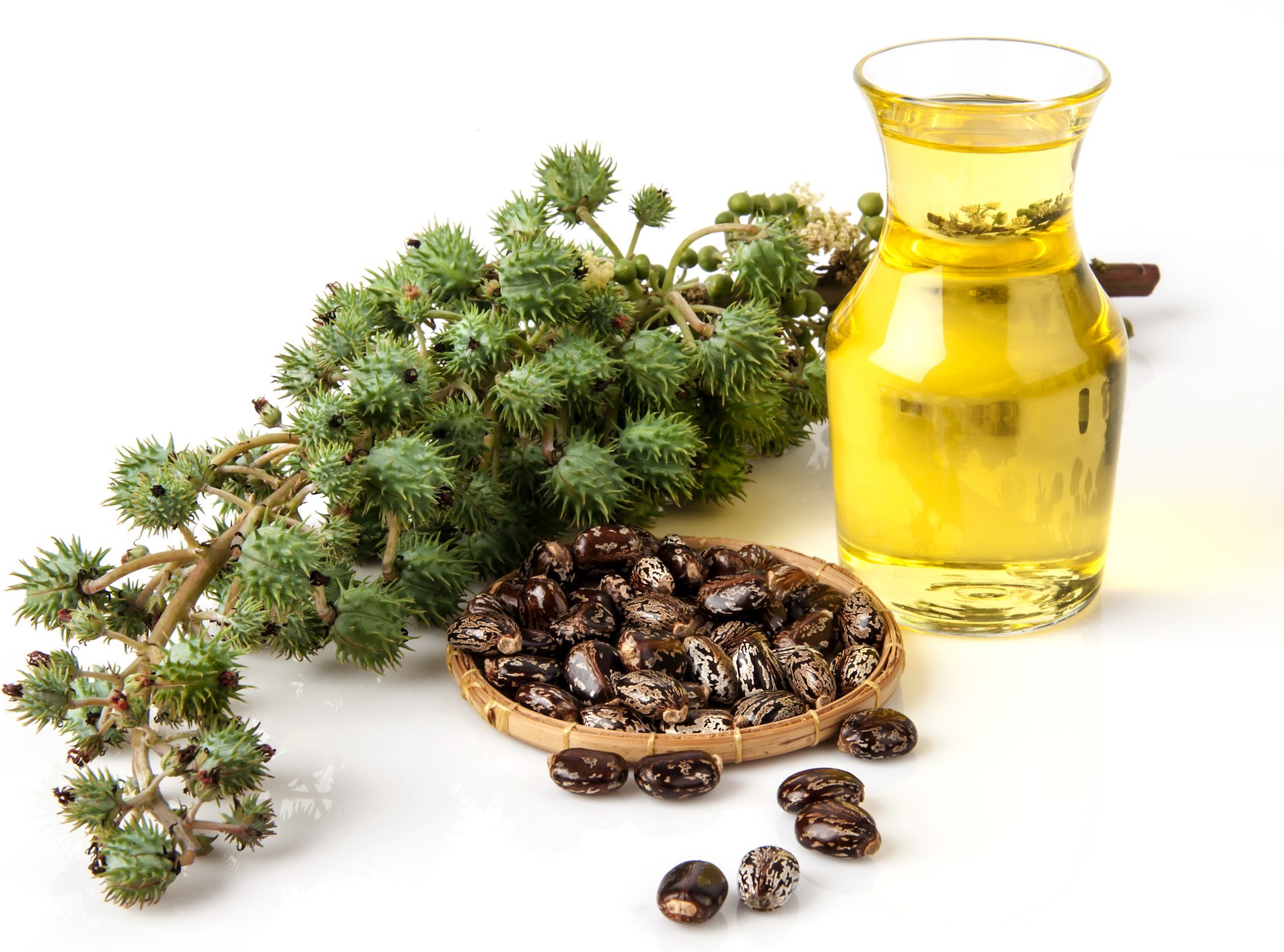 Discover the 7 Surprising Benefits of Castor Oil: Nature's Hidden Gem 8 Enhances Overall Wellness Discover the 7 Surprising Benefits of Castor Oil: Nature's Hidden Gem - 7 7 things you need to know about castor oil,benefits of castor oil for hair,how to use castor oil for skin,organic castor oil uses,castor oil for eyebrows growth,castor oil for eyelashes growth,cold-pressed castor oil benefits,castor oil for constipation relief.,benefits of castor oil,castor oil for hair growth,uses of castor oil,castor oil for skin,castor oil for eyebrows,castor oil for lashes,castor oil for acne,how to use castor oil,organic castor oil,castor oil for skincare,castor oil for constipation,where to buy castor oil,castor oil skincare,castor oil uses,castor oil benefits for skin,castor oil benefits,castor oil remedies,castor oil properties,castor oil safety precautions,cold-pressed castor oil,castor oil benefits for health,castor oil for eyelashes,castor oil for beauty.,benefits of castor oil for health,castor oil diy treatments,castor seed oil benefits,castor oil uses for hair growth,organic castor oil benefits,castor oil for skin care,jamaican black castor oil benefits,castor oil pack benefits,castor oil benefits for eyebrows,castor oil for hair,castor oil health benefits,cold pressed castor oil,castor oil uses.