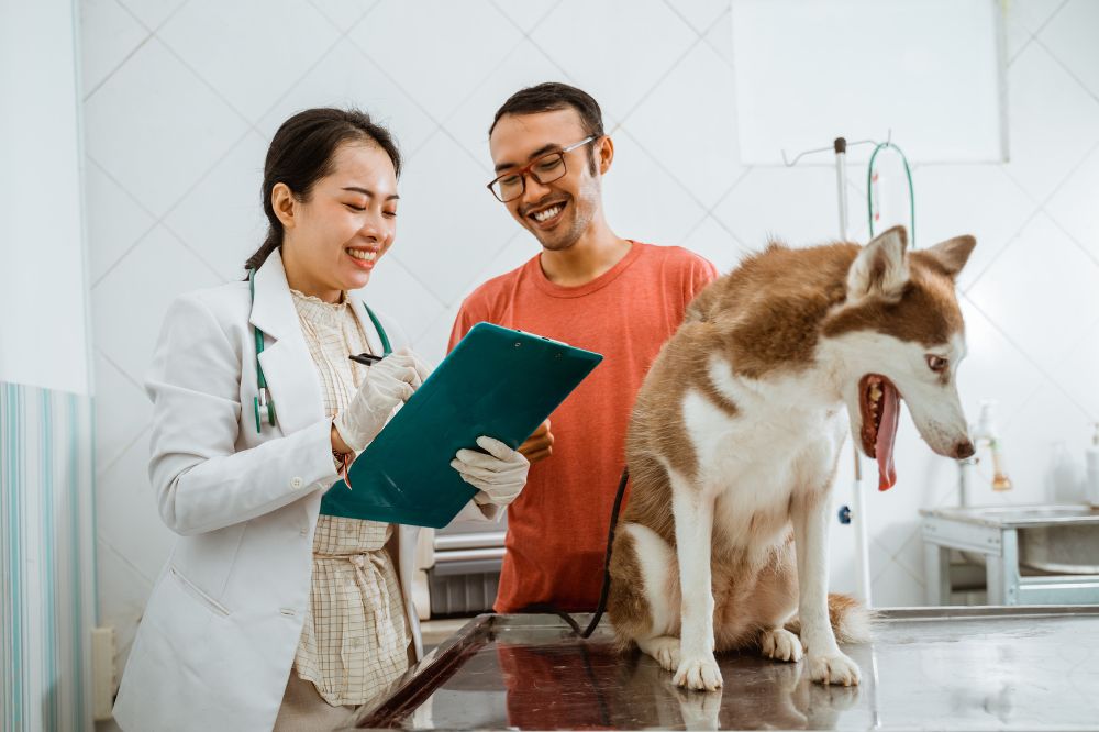 Finding a Veterinarian for Senior Pets: What to Look For 6 Scheduling Finding a Veterinarian for Senior Pets: What to Look For - 6 Veterinarian for Senior Pets