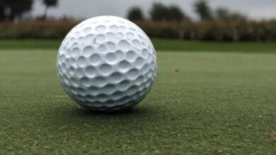golf 2024 Official World Golf Rankings: Top 7 Players and PGA Tour Insights - 41