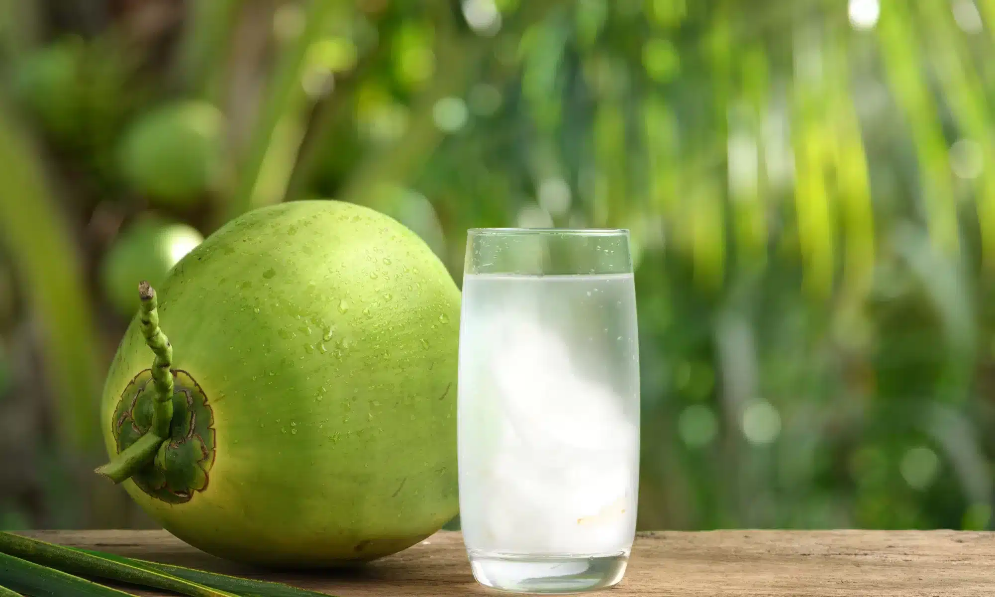 Essential Summer Hydration Tips to Keep You Feeling Fresh 2 Coconut water Essential Summer Hydration Tips to Keep You Feeling Fresh - 1 tips to keep your body hydrated during the summer,hydration strategies,summer heat remedies,beat dehydration,stay hydrated in hot weather,summer fluid replenishment,prevent heat exhaustion,hydration hacks for summer,summer hydration essentials,water intake during summer.,summer heat management,preventing dehydration,electrolyte replenishment,water intake guidelines,heat exhaustion prevention,signs of dehydration,summer beverage choices,staying hydrated outdoors.,water intake,summer hydration techniques,staying hydrated outdoors,hydration for active lifestyles,fruit infused water recipes,hydrating snack ideas.,dehydration prevention,heat exhaustion avoidance,water-rich foods,staying cool techniques,signs of dehydration.,summer hydration strategies,beating dehydration,hydration monitoring,sweat replacement,heat stroke avoidance,summer wellness.,summer hydration,infused water recipes,hydrating snacks,water-rich fruits and vegetables.,staying hydrated,beat the heat hydration,preventing dehydration in summer,water intake tips,natural hydration methods,hydration for outdoor activities.