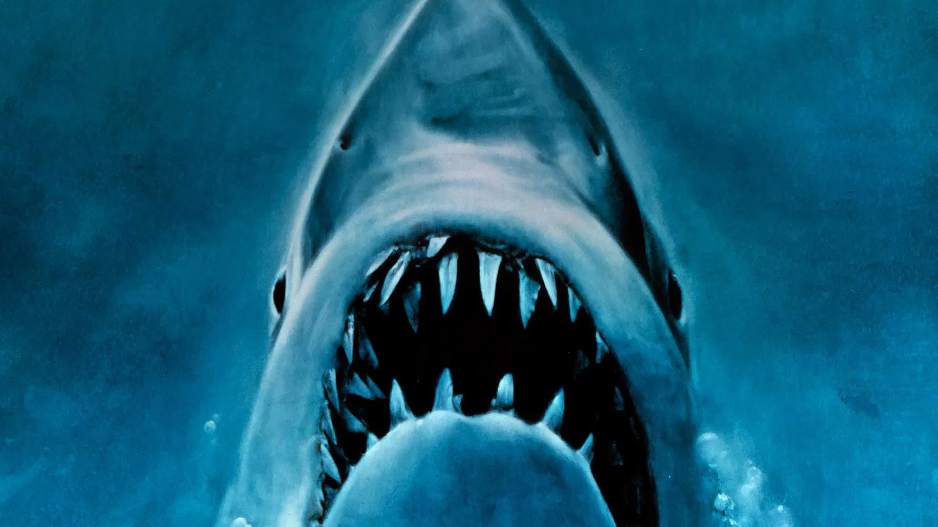 Best Horror Movies of All Time: Good Horror Movie Ever 5 Jaws 1975 Best Horror Movies of All Time: Good Horror Movie Ever - 5