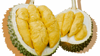 main durian meat 768x560 1 Durian Experience Review: Fresh Durians in the USA You Need to Try - Health & Nutrition 1