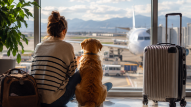 What Is the New Trend of Traveling With Pets What Is the New Trend of Traveling With Pets? The Rise of Pet-First Travel in 2026 - 1