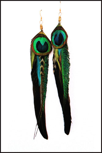 long feather macaw earring